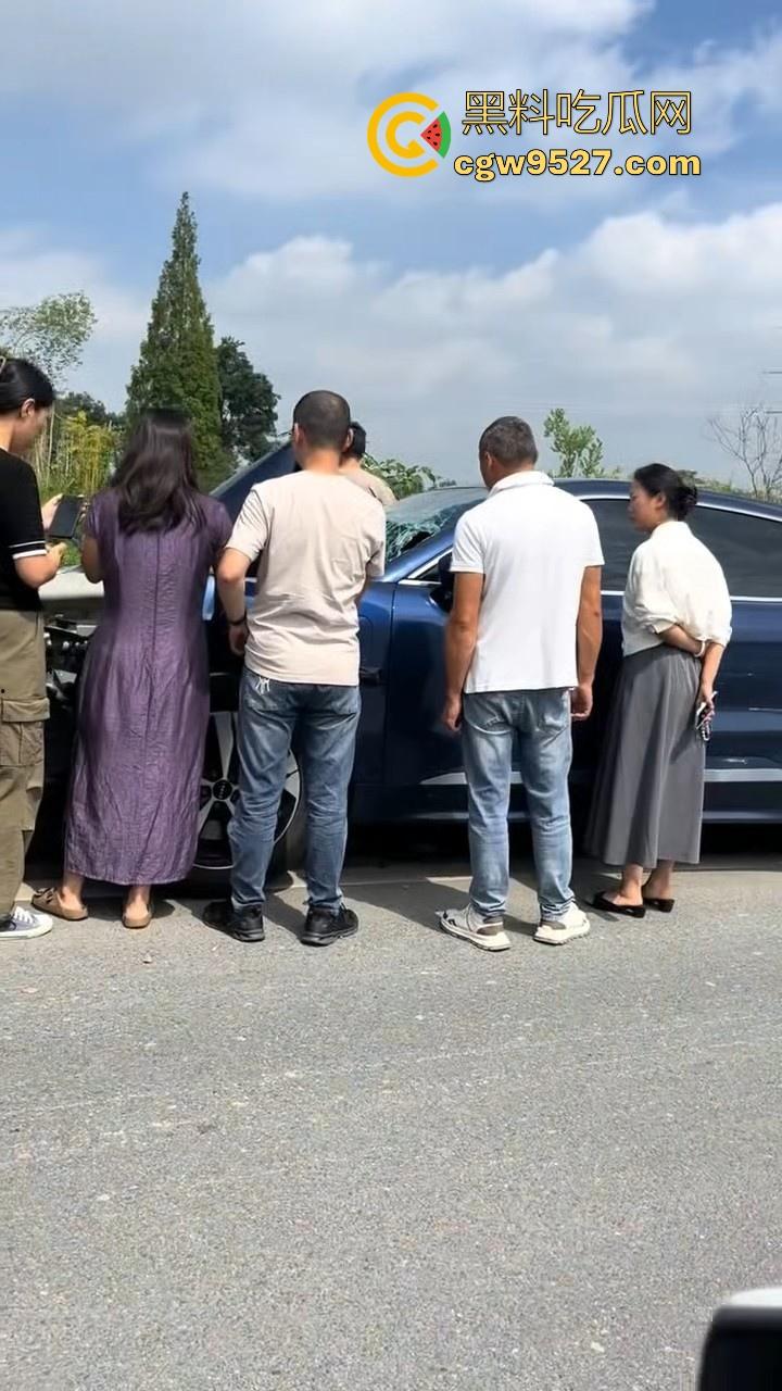 成都极氪撞护拦事故，严重的交通事故安全气囊居然没有弹出来，完全失去自救的机会，买极氪的朋友要注意啦！  第9张