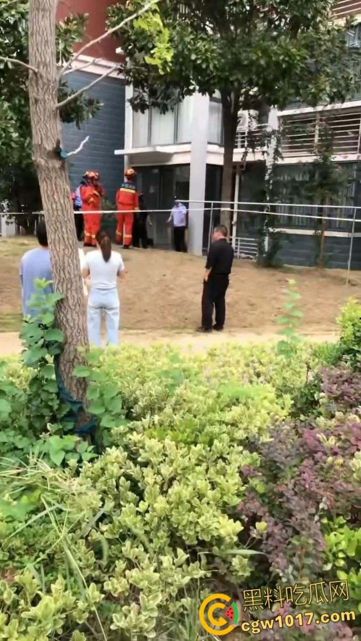 安徽马鞍山和县京都公馆，一头野猪将居民门撞坏后跑进居民家里，公安携带猎犬和道具将野猪麻醉 ！  第1张