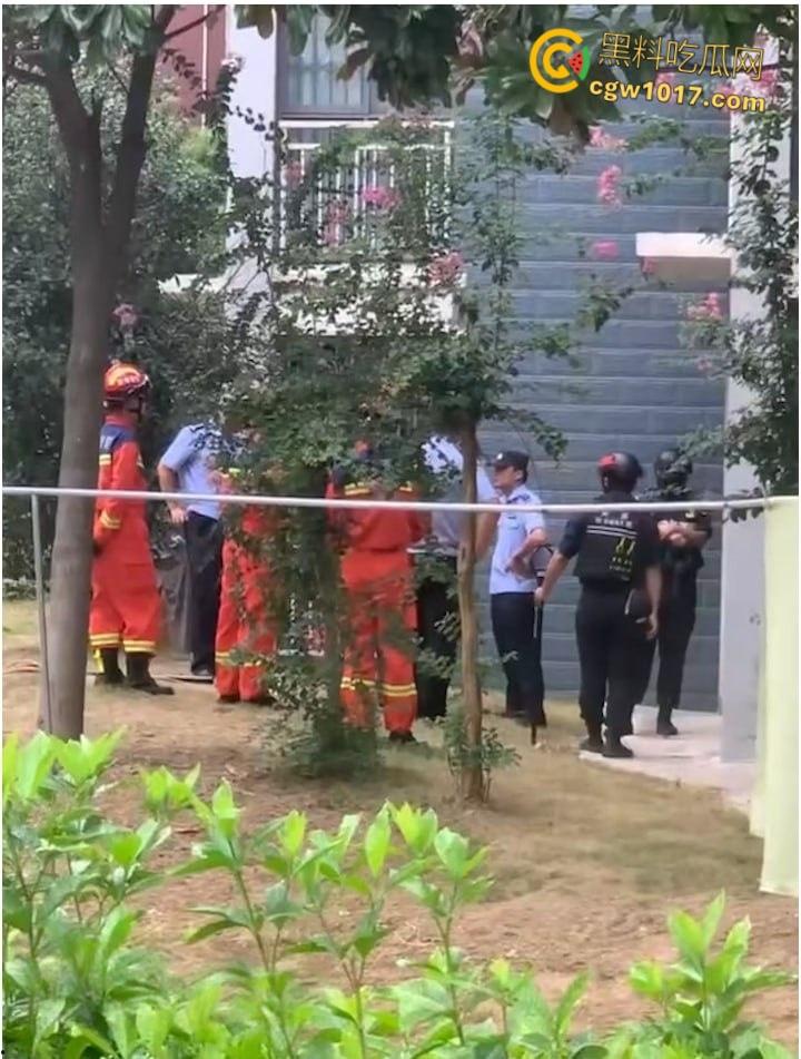 安徽马鞍山和县京都公馆，一头野猪将居民门撞坏后跑进居民家里，公安携带猎犬和道具将野猪麻醉 ！  第2张