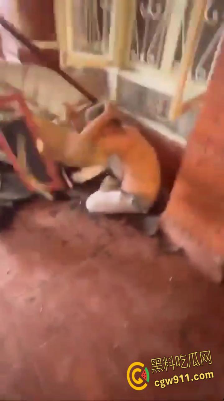 尼泊尔突发暴乱，前总理妻子在家中被民众放火烧死，财政部长被游街拖行，并被赶入河中殴打 ！  第3张