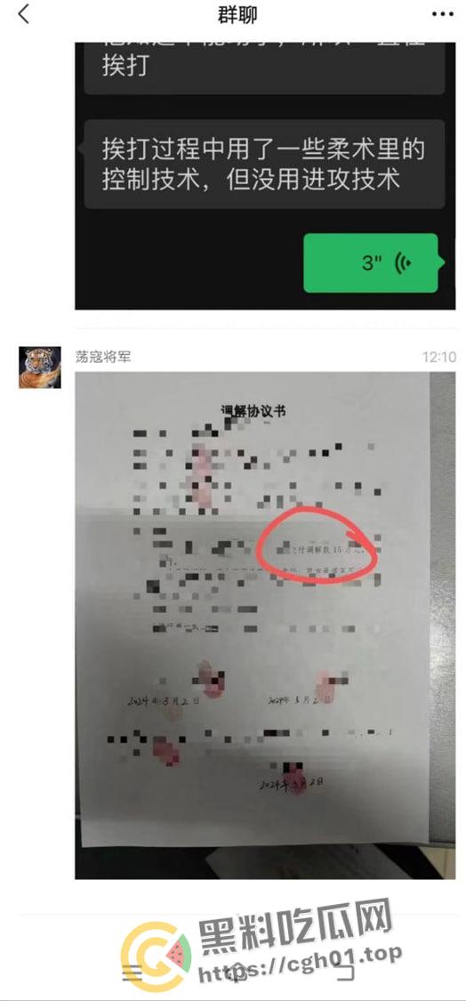 路怒症男子街头对战柔术黑带 反被黑带男技巧性挨打讹了15w 这就是会挨打的含金量  第10张