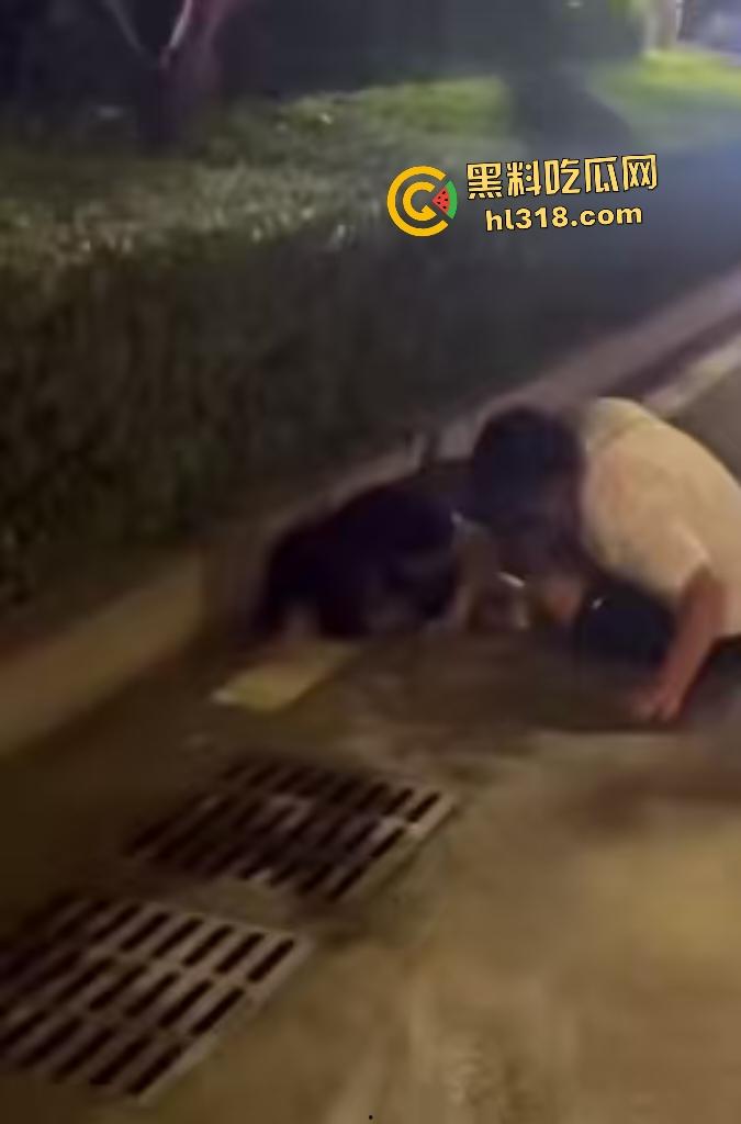 河南一女友出轨在马路边被男友狂扇巴掌,质问你凭什么把逼给他?还扒裤当场羞辱女友! 第3张 河南一女友出轨在马路边被男友狂扇巴掌,质问你凭什么把逼给他?还扒裤当场羞辱女友! 第3张