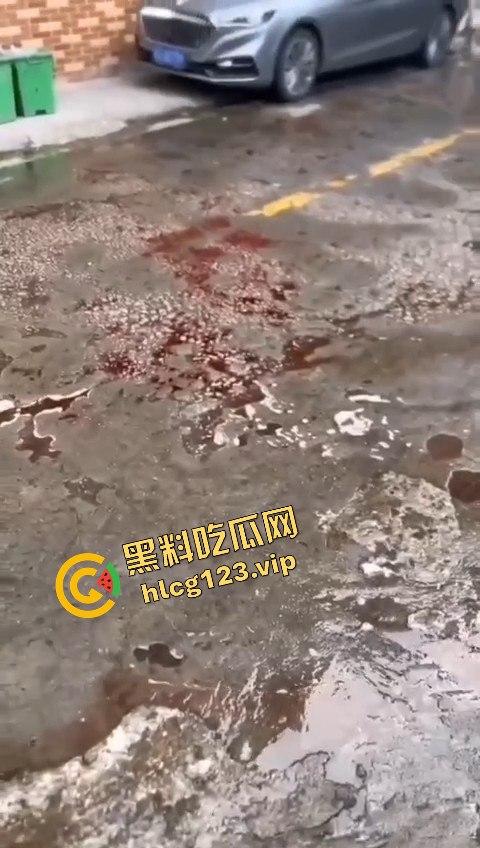 广东潮州发生恶性斗殴事件,一男子被当街砍死,另一人被警方当场抓获,凶手直接被判死刑! 第5张 广东潮州发生恶性斗殴事件,一男子被当街砍死,另一人被警方当场抓获,凶手直接被判死刑! 第5张