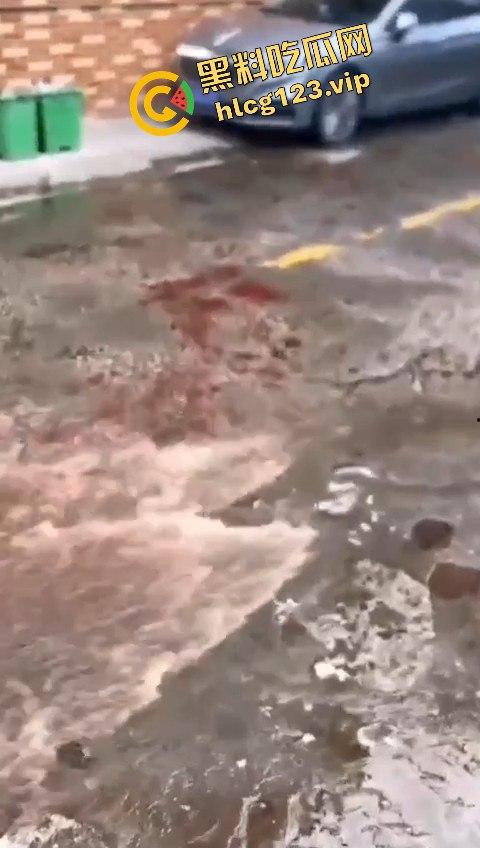 广东潮州发生恶性斗殴事件,一男子被当街砍死,另一人被警方当场抓获,凶手直接被判死刑! 第6张 广东潮州发生恶性斗殴事件,一男子被当街砍死,另一人被警方当场抓获,凶手直接被判死刑! 第6张