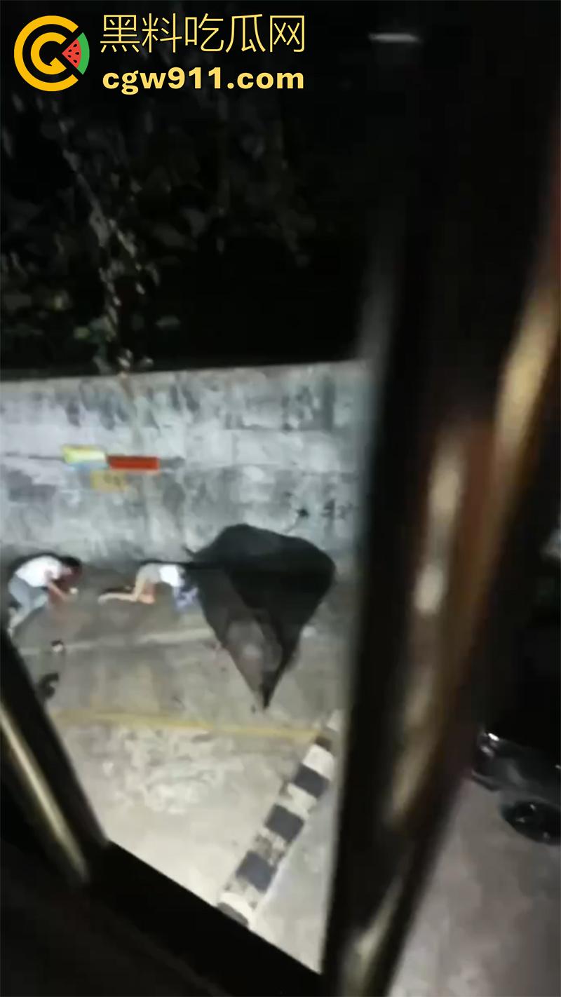 广西藤县河西疯牛伤人事件，伤者正在治疗疯牛仍在逃，警方联合多部门在大冲肚区域追捕！  第1张