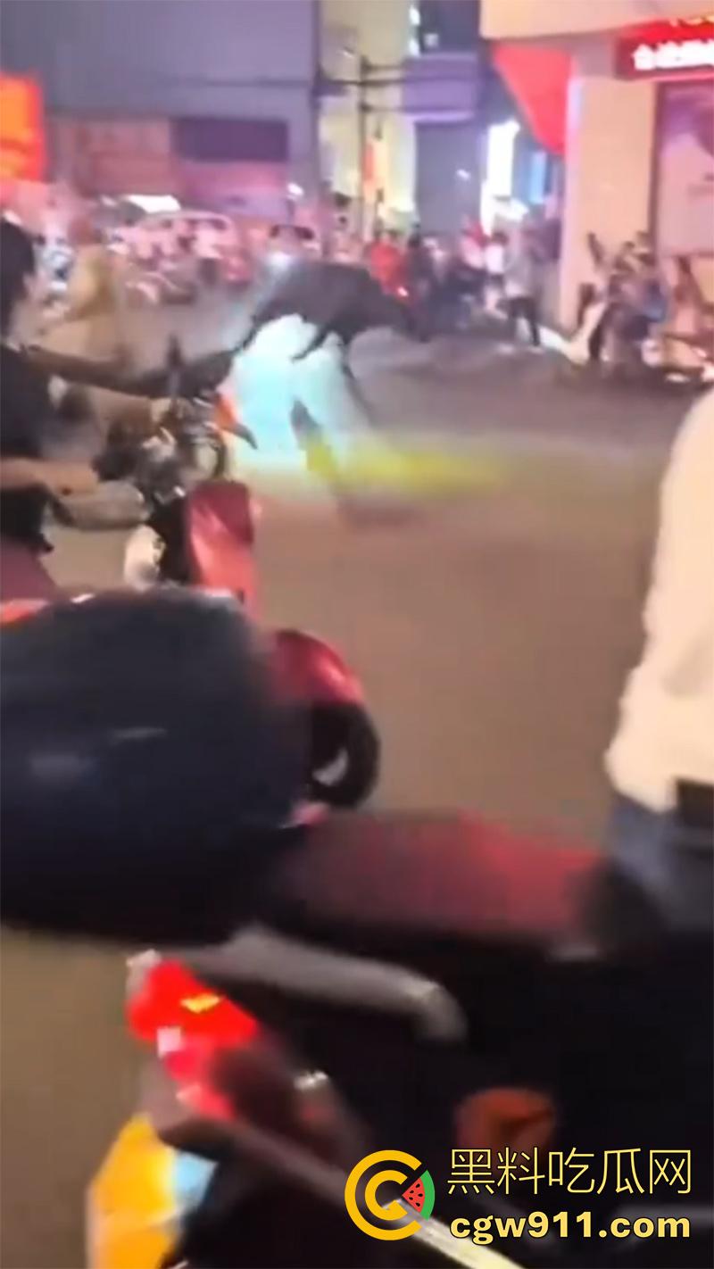 广西藤县河西疯牛伤人事件，伤者正在治疗疯牛仍在逃，警方联合多部门在大冲肚区域追捕！  第4张