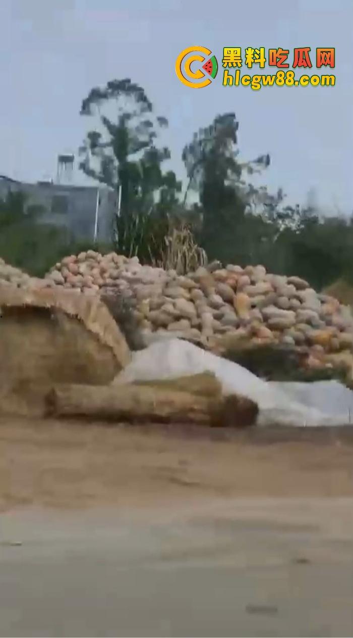 某战区海军战机海南训练失事，飞行员成功跳伞，战机坠毁临高县，所幸未造成地面损失！  第9张