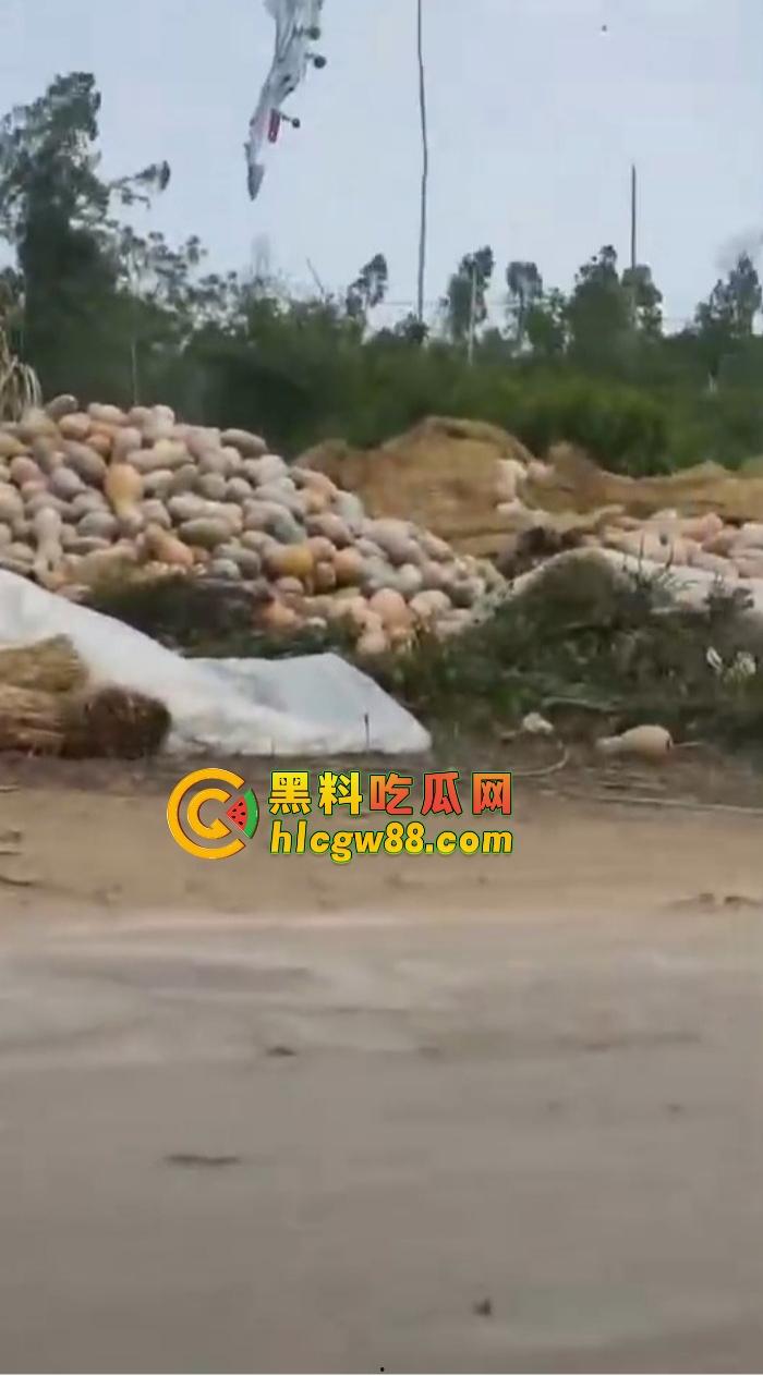 某战区海军战机海南训练失事，飞行员成功跳伞，战机坠毁临高县，所幸未造成地面损失！  第12张