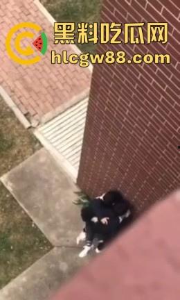 春天来了,动物们到了交配的季节了,情侣们性欲来了完全不顾旁人现场就是干! 第2张 春天来了,动物们到了交配的季节了,情侣们性欲来了完全不顾旁人现场就是干! 第2张