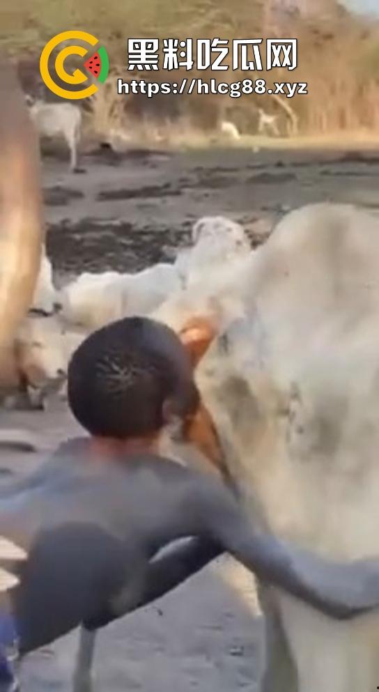 仿真牛逼飞机吞屌神器，各式号码选配让你爽，谁买这玩意撸？印度阿三日牛舔逼狂爱，卖他们直接当首富！  第11张