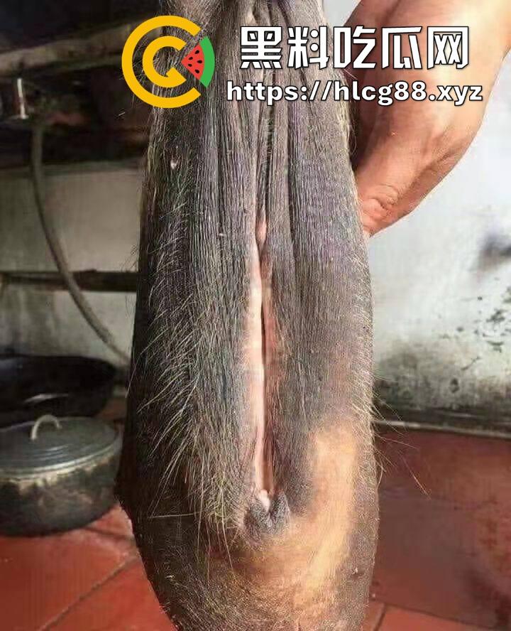 仿真牛逼飞机吞屌神器，各式号码选配让你爽，谁买这玩意撸？印度阿三日牛舔逼狂爱，卖他们直接当首富！  第12张