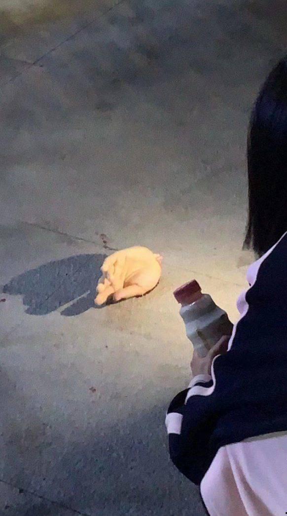 5月23号 厦门华天涉外职业技术学院 直播主 直播中遭刀仔持刀猛砍  左手掌被砍断 现场十分惊悚 第8张