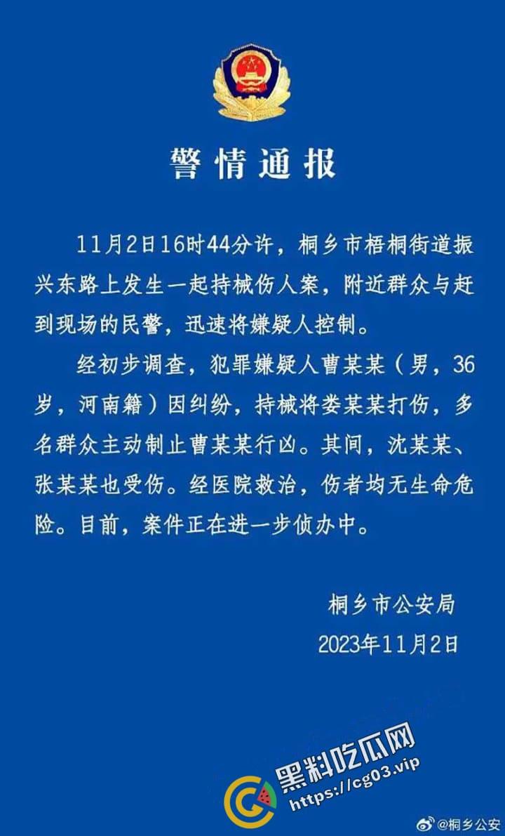 桐乡 男子因纠纷行凶 用榔头猛烈锤击美女律师头部  当场被制服 第4张