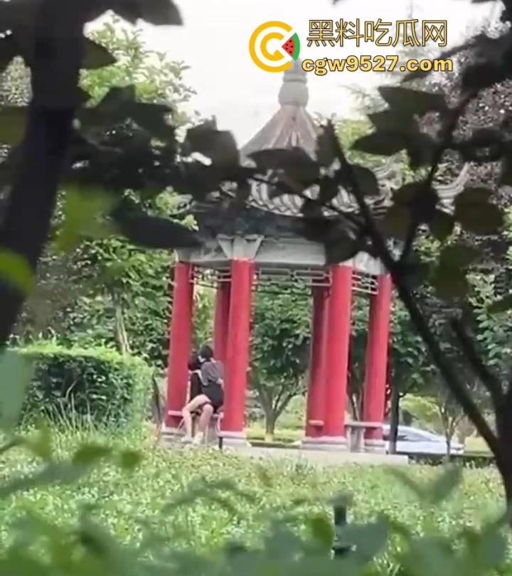 西安医学高等专科学校凉亭瓜!学生情侣大白天在凉亭里面激情骑乘,狂扣骚逼,大白天上演活春宫图! 第4张 西安医学高等专科学校凉亭瓜!学生情侣大白天在凉亭里面激情骑乘,狂扣骚逼,大白天上演活春宫图! 第4张