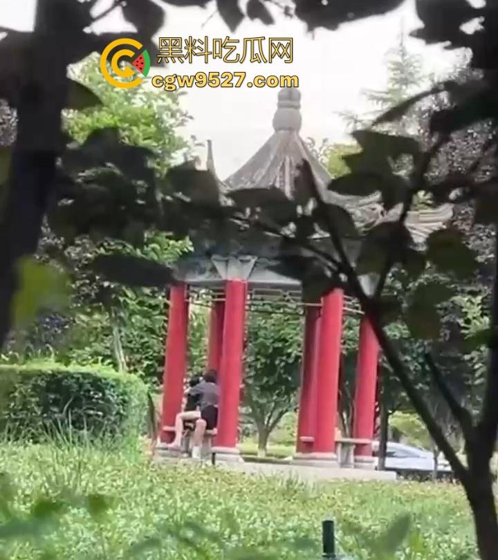 西安医学高等专科学校凉亭瓜!学生情侣大白天在凉亭里面激情骑乘,狂扣骚逼,大白天上演活春宫图! 第5张 西安医学高等专科学校凉亭瓜!学生情侣大白天在凉亭里面激情骑乘,狂扣骚逼,大白天上演活春宫图! 第5张