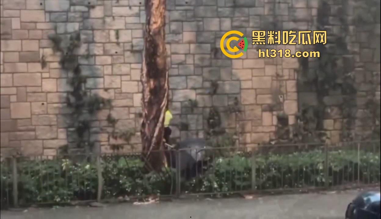 怎么香港这么多碎尸案啊!香港 湾仔发现“无头尸体”,上下肢体分离,头部仍在寻找中,真恐怖! 第8张 怎么香港这么多碎尸案啊!香港 湾仔发现“无头尸体”,上下肢体分离,头部仍在寻找中,真恐怖! 第8张