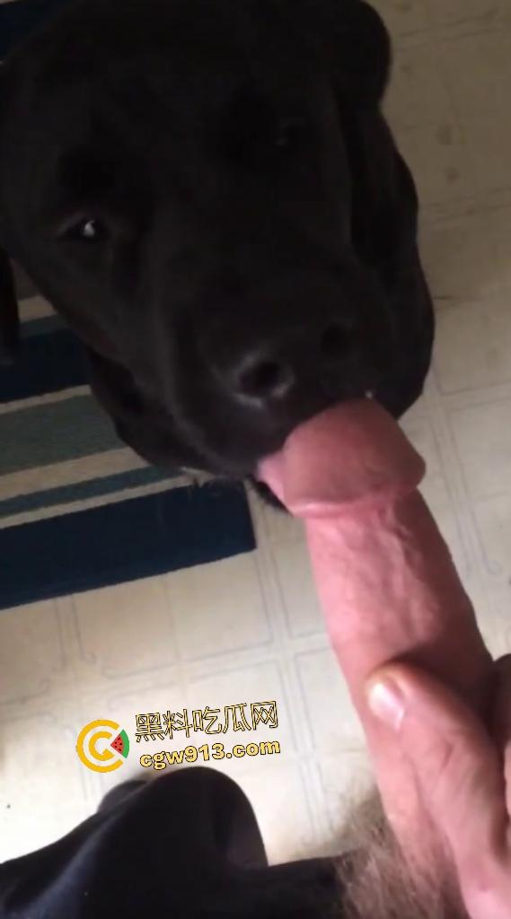 外国猛男与黑狗上演人兽大戏，叫自家黑母狗给自己口交舔鸡巴，还想撸管射精喂狗，这人狗情未了啊！  第5张