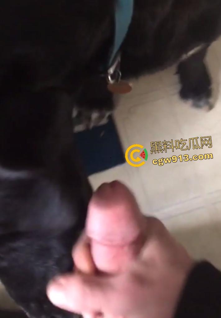 外国猛男与黑狗上演人兽大戏，叫自家黑母狗给自己口交舔鸡巴，还想撸管射精喂狗，这人狗情未了啊！  第8张