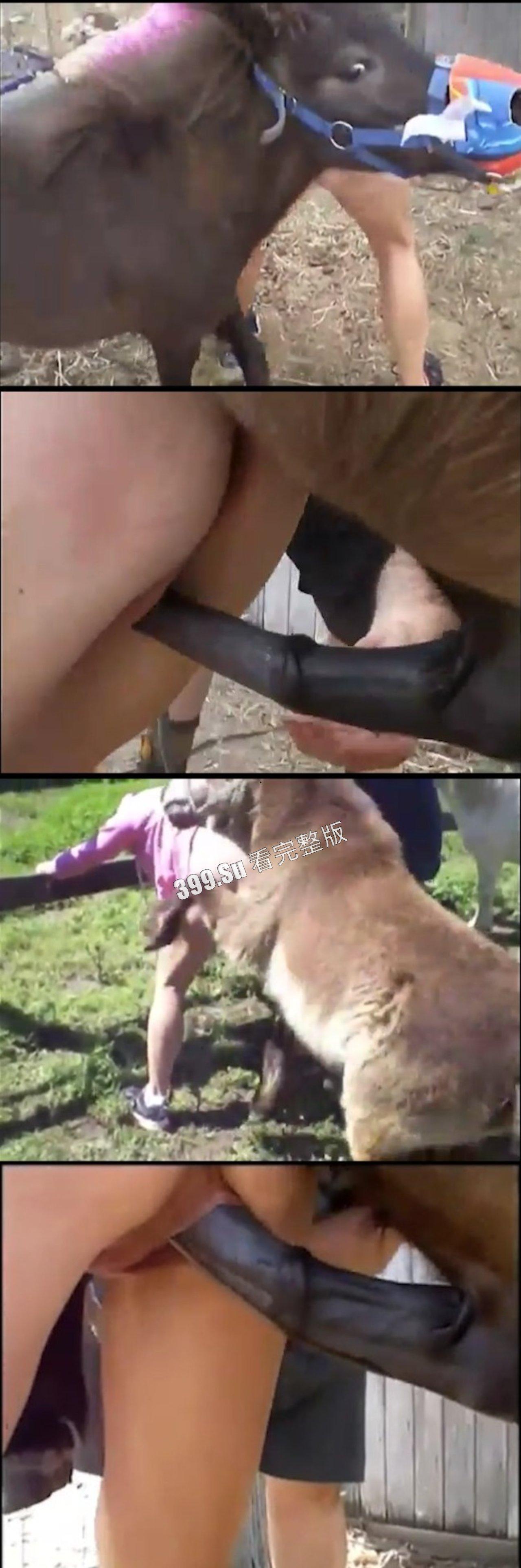 人兽篇  不理解，但是大为震撼！有请本场男演员：好多狗，马，驴，猪！（介意的瓜友 勿点! ） 第3张