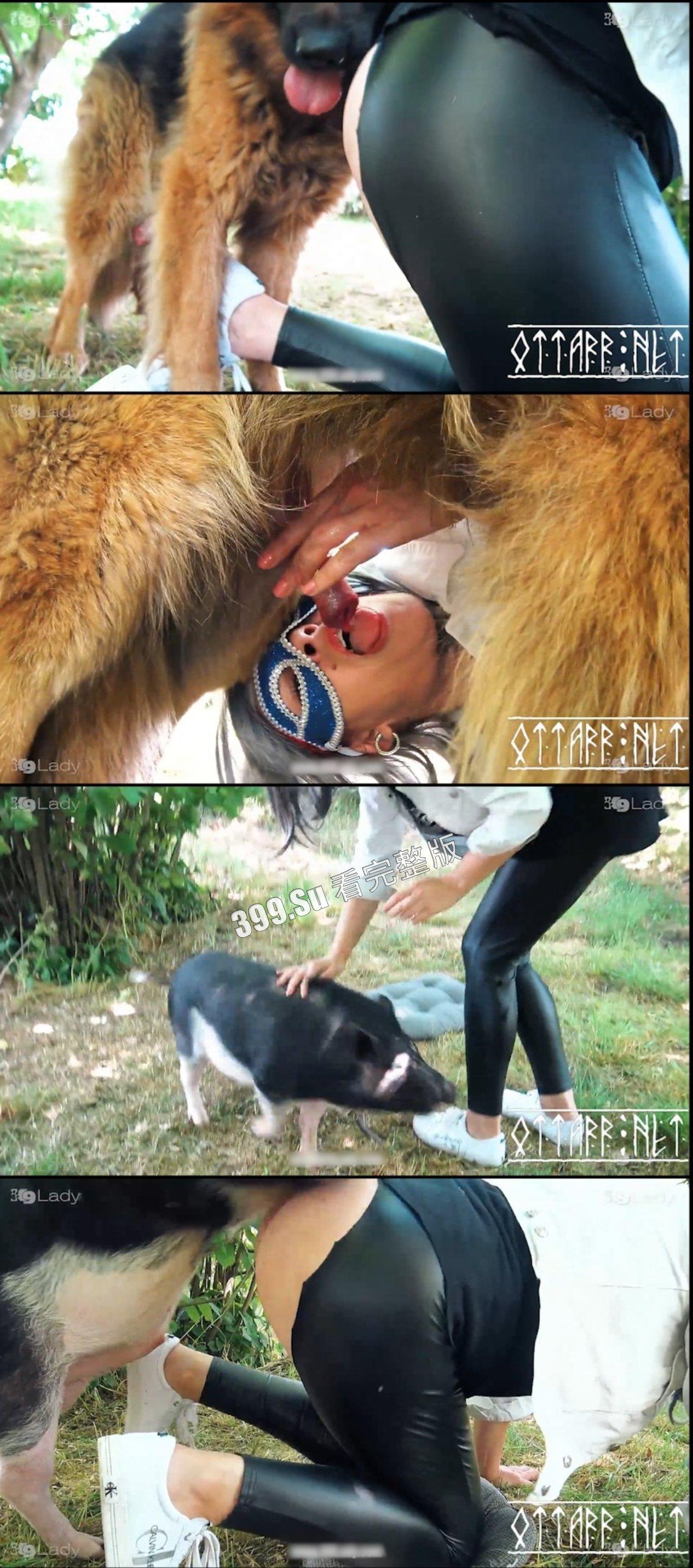 人兽篇  不理解，但是大为震撼！有请本场男演员：好多狗，马，驴，猪！（介意的瓜友 勿点! ） 第6张