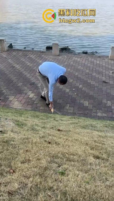 广州番禺区遛狗的注意了！有人在河边下毒，什么变态玩意儿？小心爱犬中招！  第3张