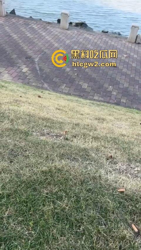 广州番禺区遛狗的注意了！有人在河边下毒，什么变态玩意儿？小心爱犬中招！  第7张