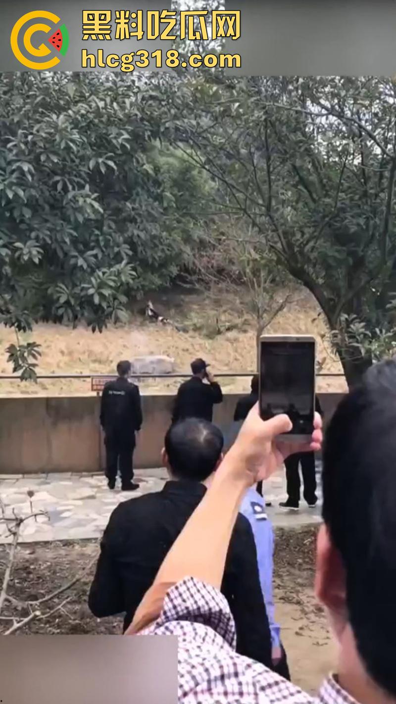 聪明人费尽心思，不如蠢人灵机一动！浙江男子翻越围墙撸老虎，被老虎当场咬死，该老虎已被射杀！  第1张