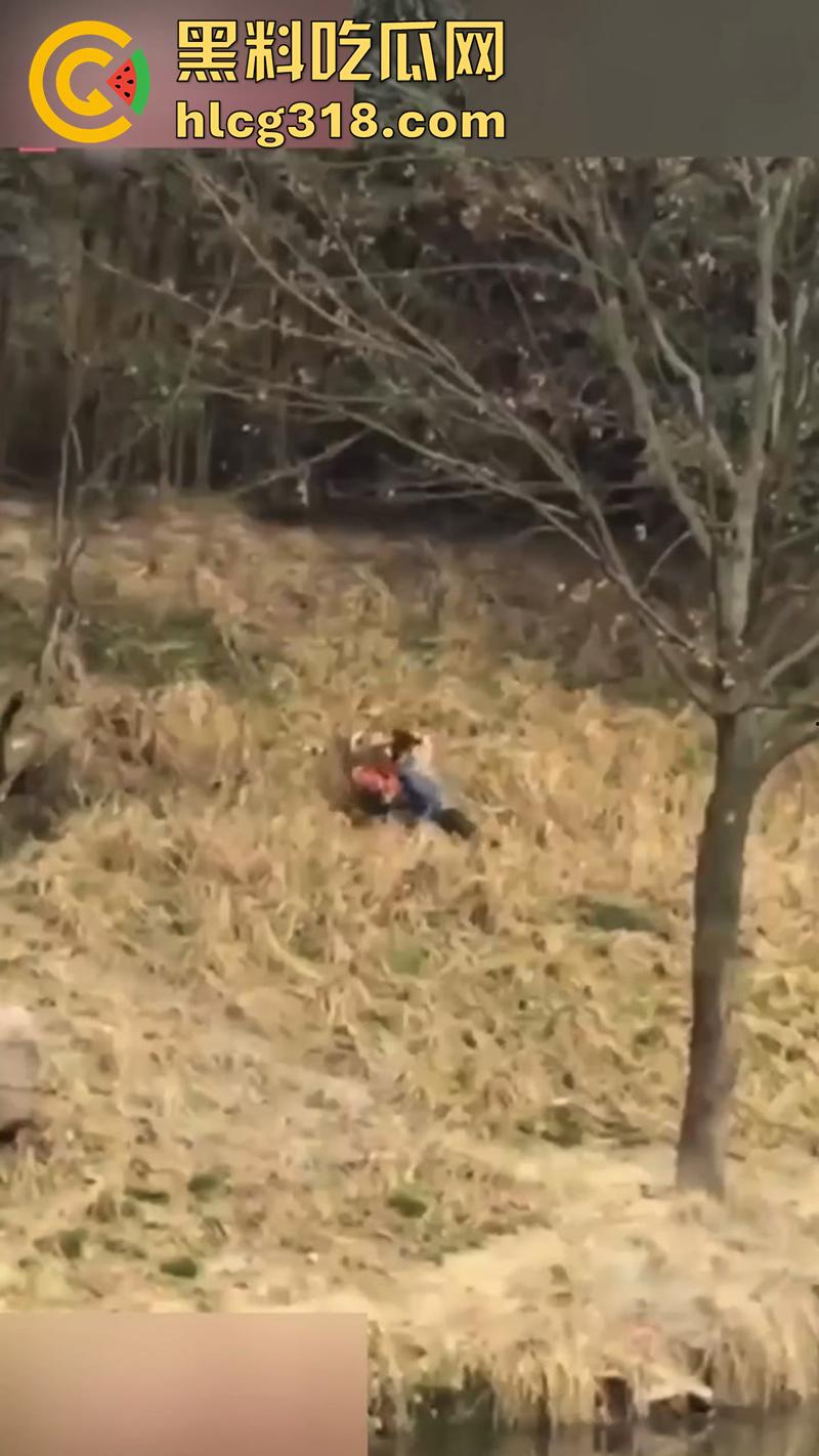 聪明人费尽心思，不如蠢人灵机一动！浙江男子翻越围墙撸老虎，被老虎当场咬死，该老虎已被射杀！  第5张