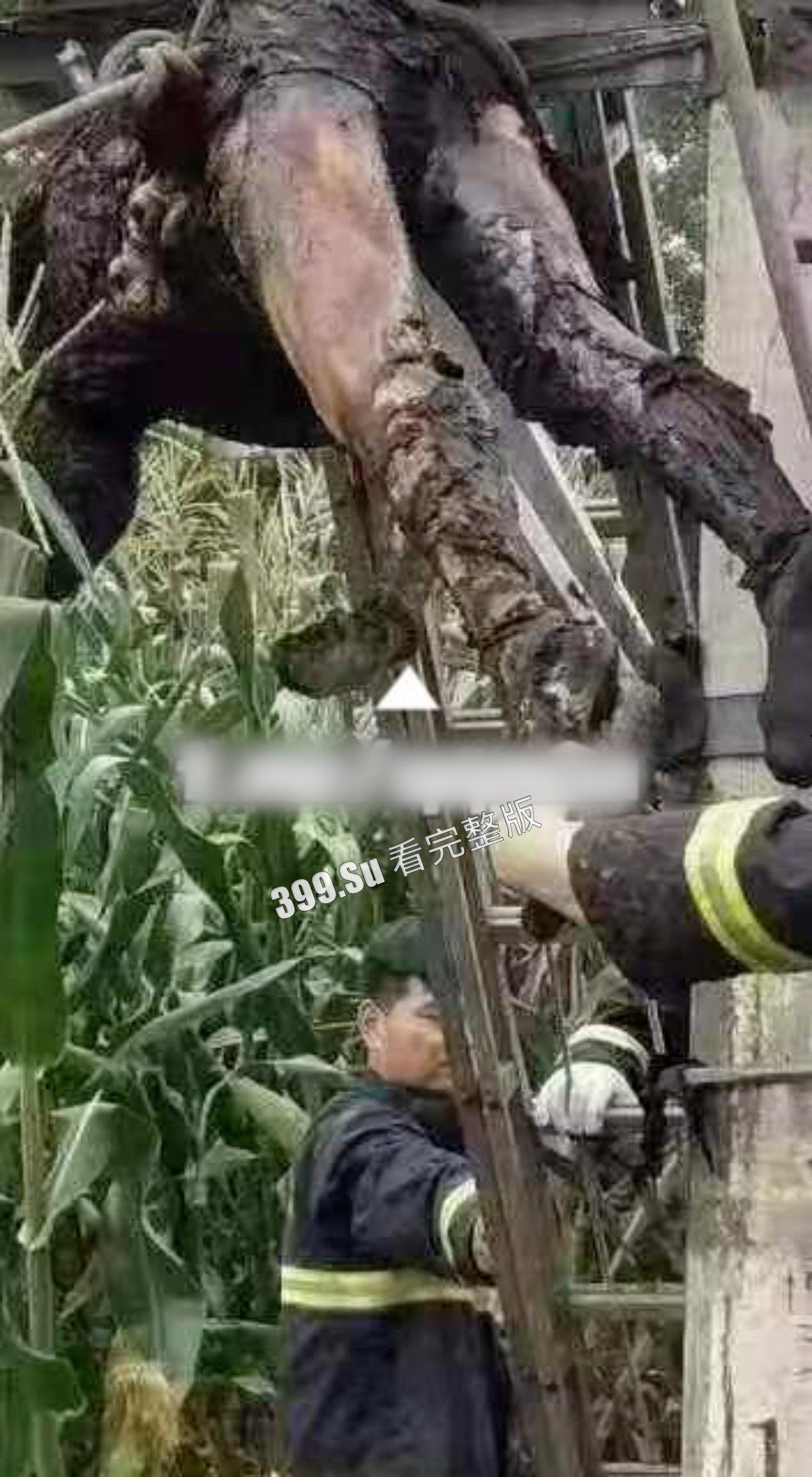 猎奇系列 人不能…至少不应该 （十一）  第5张