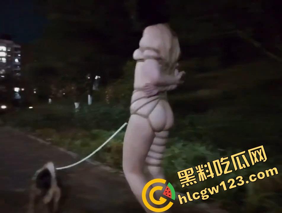 小仙女反向遛狗现场曝光，项圈戴自己脖子上被狗拽着跑，香菜生吃配狗粮，真把自己当狗了？  第12张