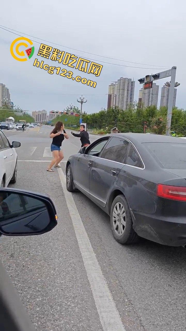 斑马线前路怒症爆发，男女大打出手，打架场面竟如游泳比赛般精彩！  第8张