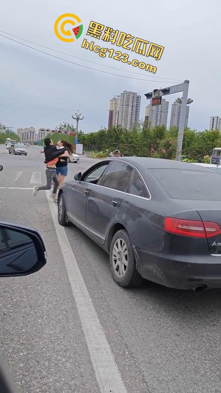 斑马线前路怒症爆发，男女大打出手，打架场面竟如游泳比赛般精彩！  第10张