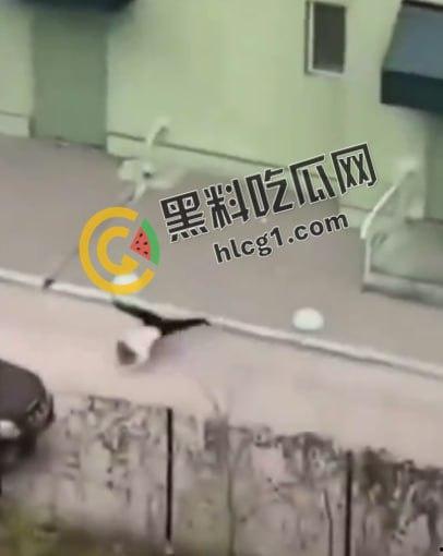 大连公安局交警支队政委张一辉在办公室九楼跳楼自杀，有人说畏罪自杀有人说被人所逼，瓜友们怎么看  第2张