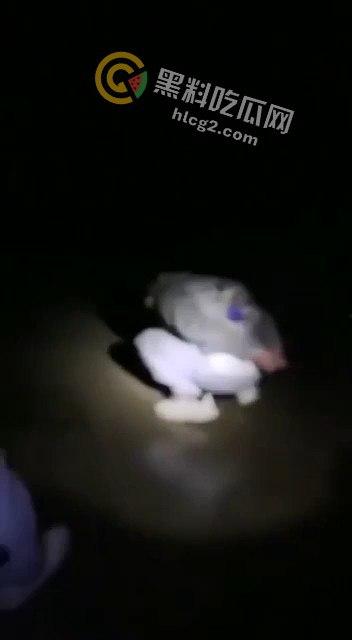 缅甸KK园区猪仔被打视频曝光，珍爱生命远离诈骗！  第8张