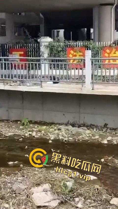 秦皇岛一中高一学生压力大，竟用摔断腿逃学！以身入局的聪明计谋？  第9张