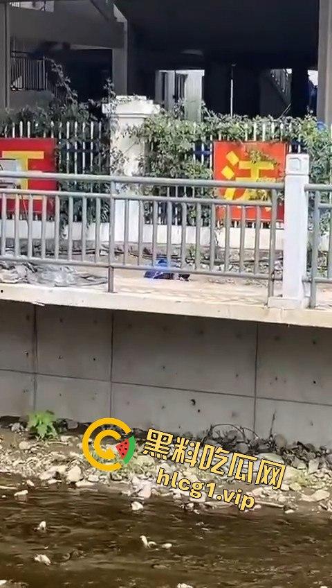 秦皇岛一中高一学生压力大，竟用摔断腿逃学！以身入局的聪明计谋？  第11张