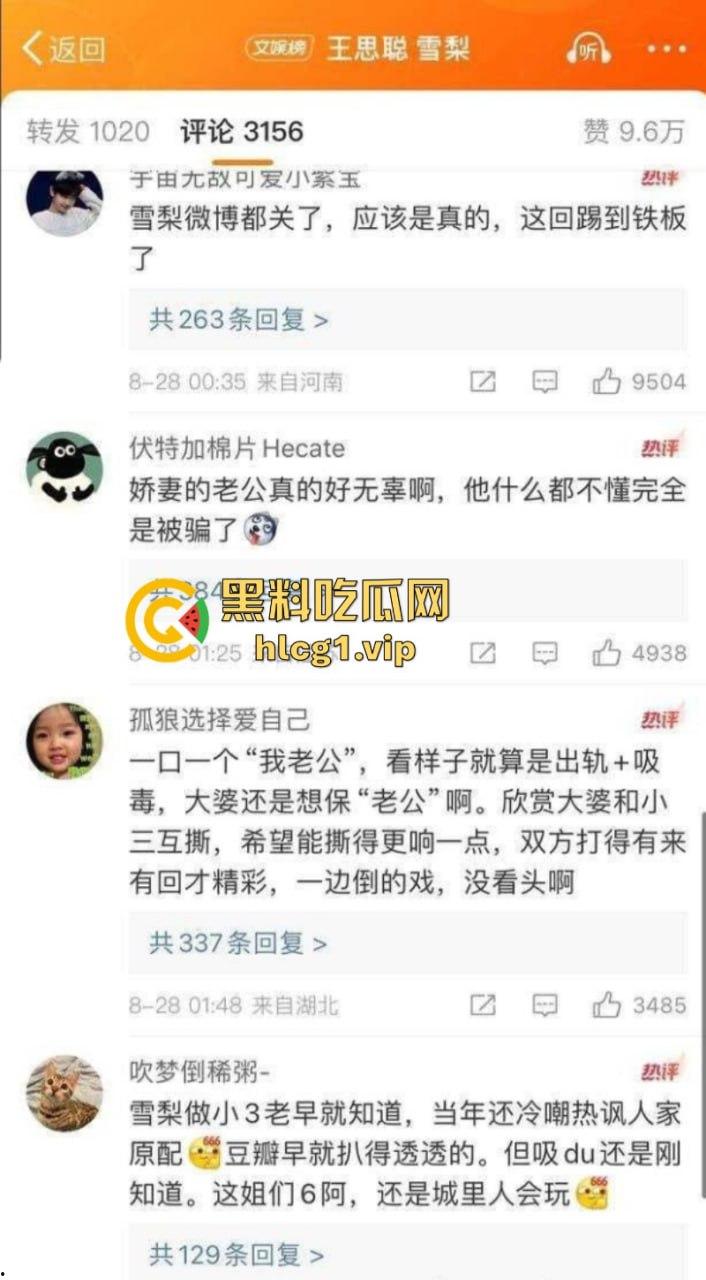 [王思聪]其实是双向恋 其私生子闪闪是来掩盖他的不孕不育！前女友雪梨嗑药被爆光 !  第9张