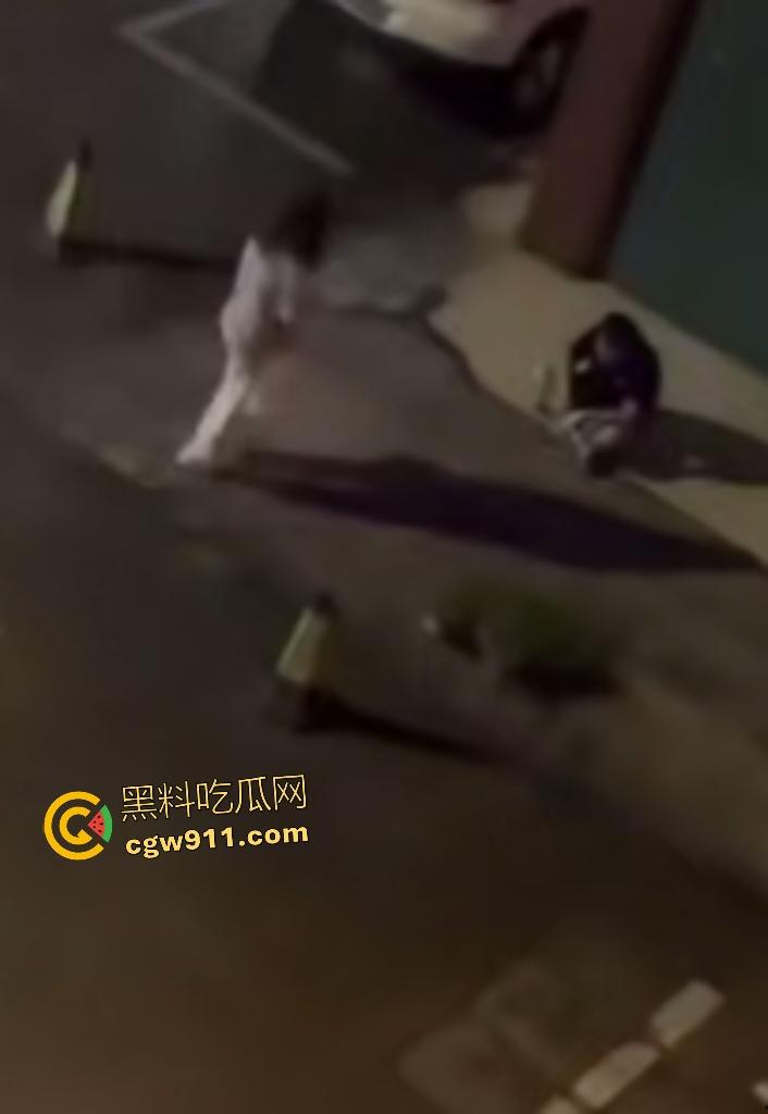 广西南宁情侣夜晚扰民，女友疯魔石头砸豪车，男友坐地被一脚踢喉管倒地，女友还补刀狂踹，不踢死不罢休！  第6张