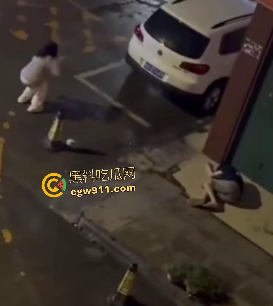 广西南宁情侣夜晚扰民，女友疯魔石头砸豪车，男友坐地被一脚踢喉管倒地，女友还补刀狂踹，不踢死不罢休！  第8张