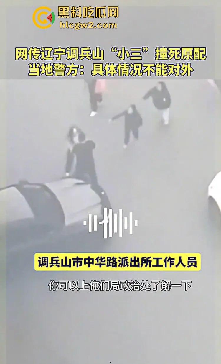 辽宁铁岭调兵山紫夜KTV老板娘【张雪】被小三车撞身亡，情感纠纷背后真相扑朔迷离！  第6张