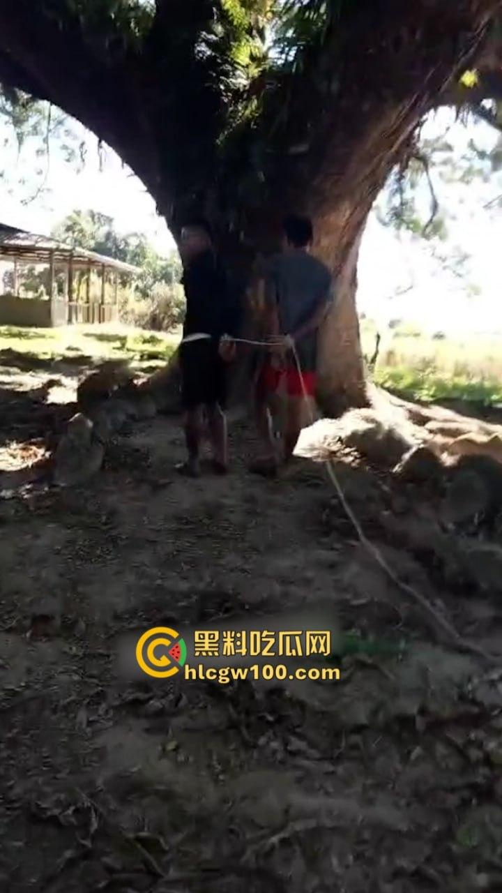 以色列与巴勒斯坦伊斯兰抵抗运动就加沙停火协议!双方又达成新的停火协议 第3张 以色列与巴勒斯坦伊斯兰抵抗运动就加沙停火协议!双方又达成新的停火协议 第3张