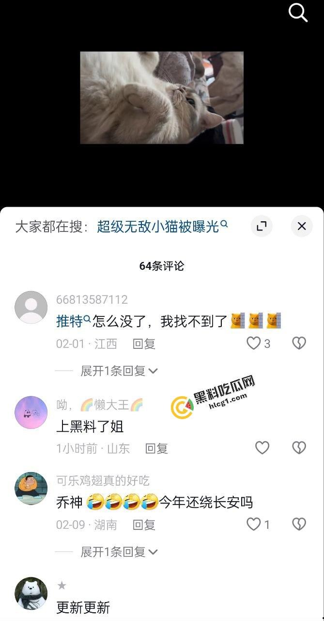 微博身材高挑的反差网红 超级无敌小猫 网上钓鱼 线下和金主爸爸约炮 视频流出  第3张
