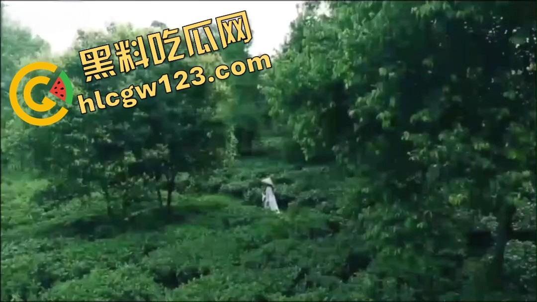 纯正奶茶现采现挤？真奶福建嫩茶打底，鲜得直流奶！那你喝的霸王茶姬，是工业冲泡的制服打工婊！  第1张