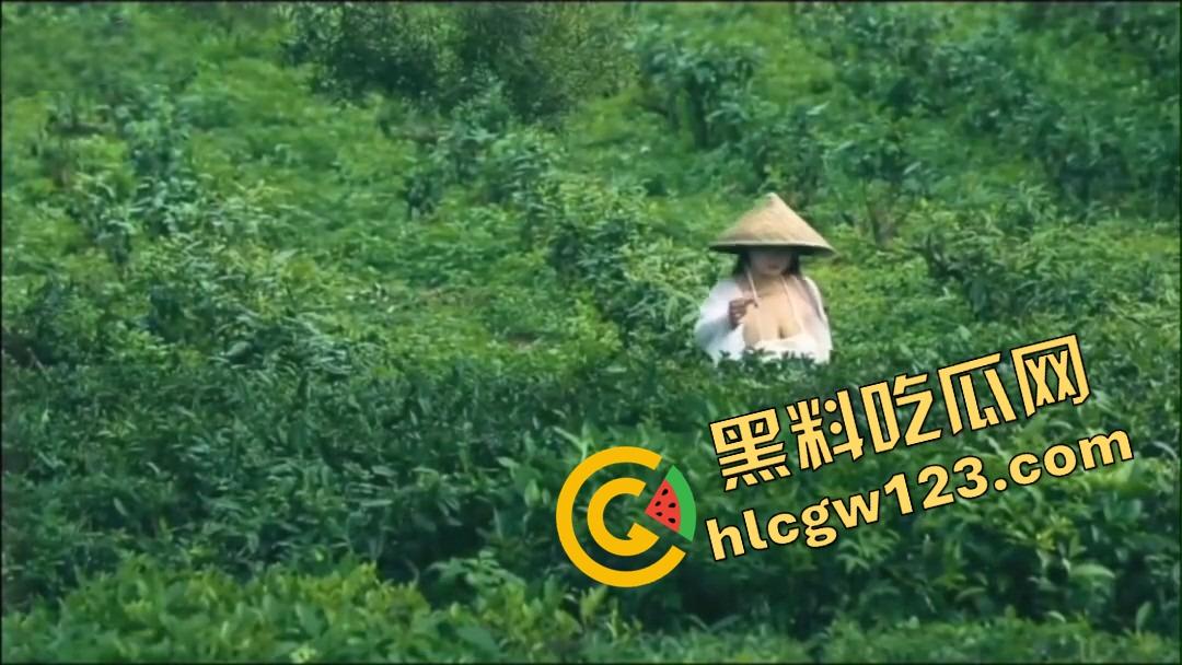 纯正奶茶现采现挤？真奶福建嫩茶打底，鲜得直流奶！那你喝的霸王茶姬，是工业冲泡的制服打工婊！  第3张