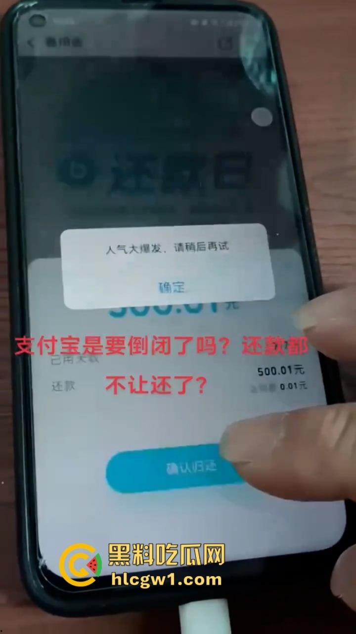支付宝崩了！双11关键时刻掉链子 付款失败惹众骂  第2张