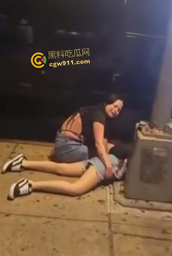 纽约皇后区醉酒禽兽，性骚扰16岁少女遭反抗，然后开车撞少女当场血肉模糊惨死，母亲腿断入院！  第6张