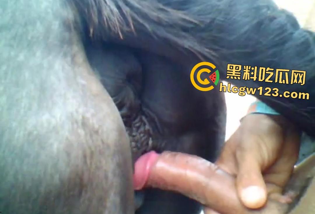 男人狂射母马体内没有一丝波澜！细屌爆操松垮马B，细屌连马都不屑  第7张