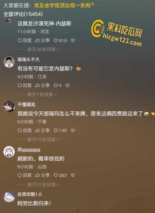 狗狗硬爬126米金字塔顶，狂吠耍帅当“法老”，稳稳下塔震惊全球！  第2张