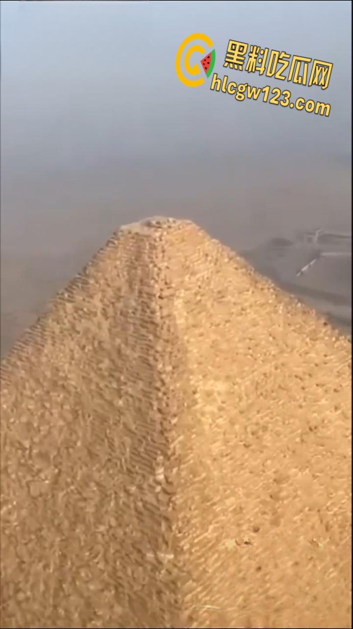 狗狗硬爬126米金字塔顶，狂吠耍帅当“法老”，稳稳下塔震惊全球！  第3张