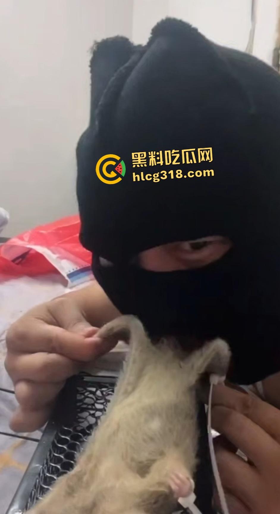 人兽变态新高度！蒙面猛男生啃死老鼠小鸡鸡，带着面罩生怕别人不知道是变态？  第1张